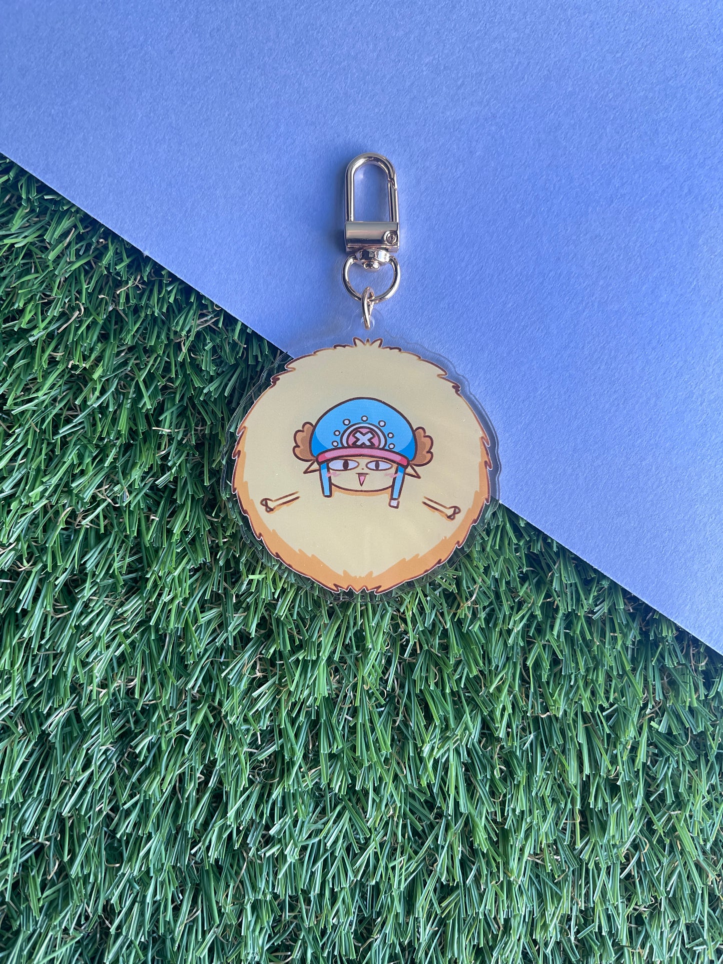 Straw hats pirate- Tony Tony Chopper
